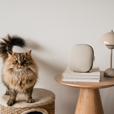 A Fresh start with these must-haves